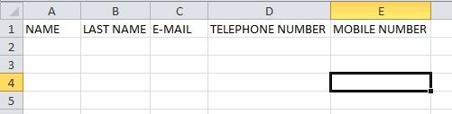 Fill out the template with your guests' information. Don't change the first row of the spreadsheet.