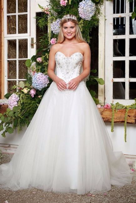 Ball gown vs. A - line wedding dreses 