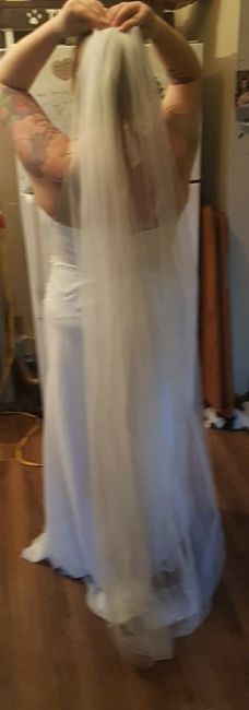 Length of veil 1