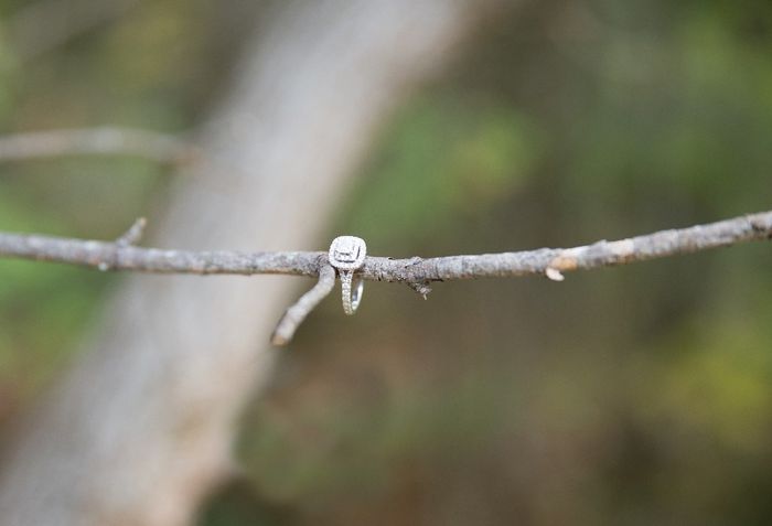 engagement ring