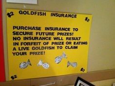 Fish insurance