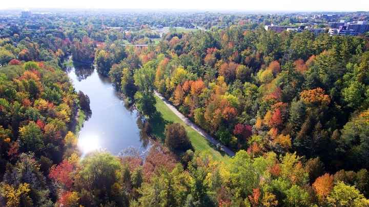 Top view of the park