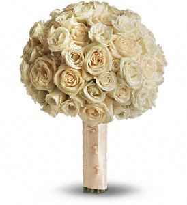 Ivory roses