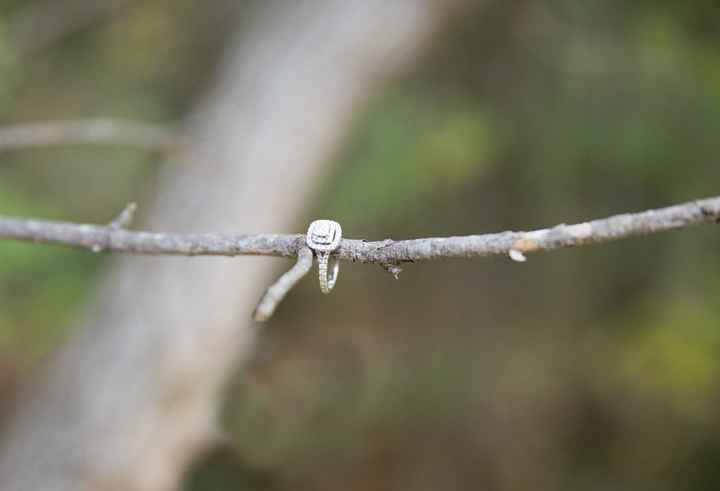 Engagement ring
