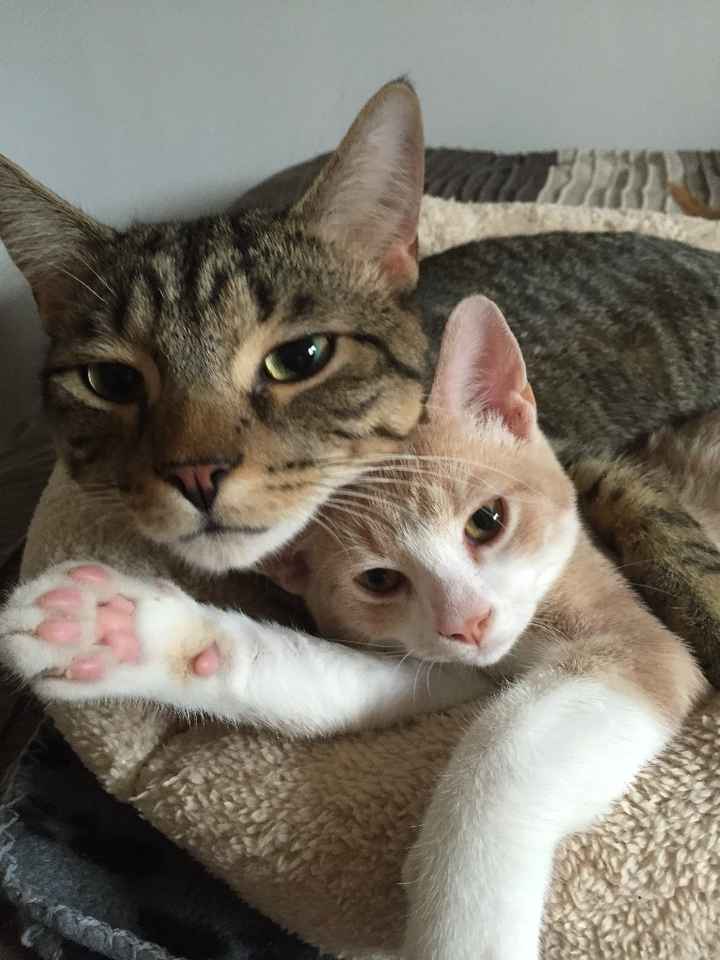 Toby and Max