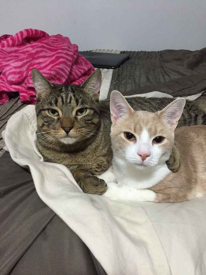 Toby and Max