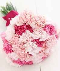 Carnations