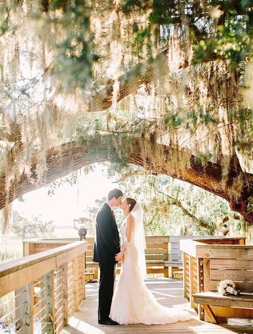 ballet style veil