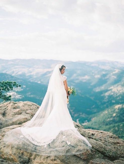 cathedral veil