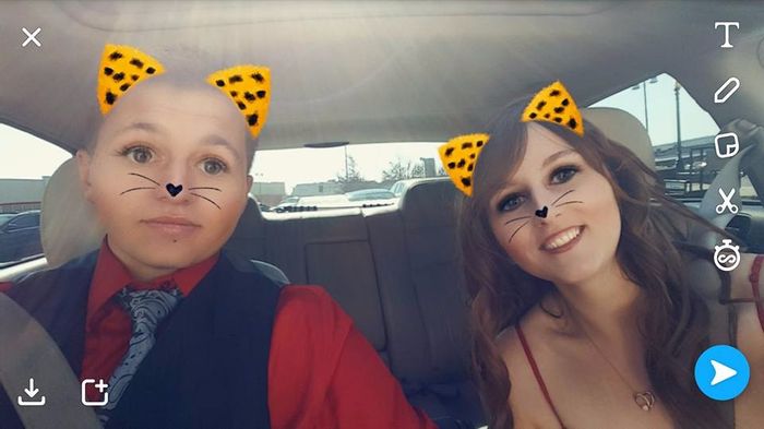 Kitties