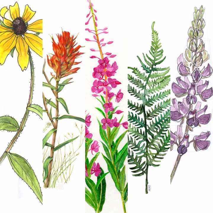Wildflower Wedding