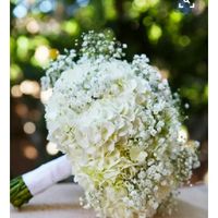 Have a wonderfull wedding with the lowest budget - 1