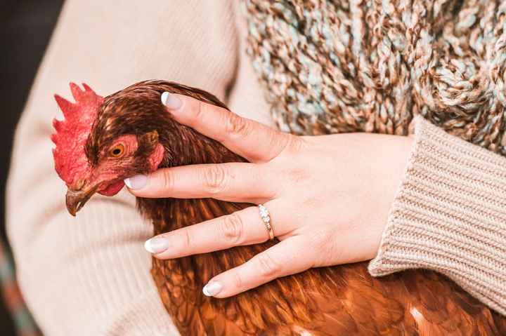 Brides of 2024 - Let's See Your Ring! - 1