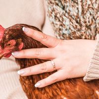 Brides of 2024 - Let's See Your Ring! - 1
