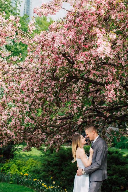 Engagement Photos 1