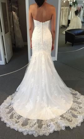 Planning Milestones!  Say Yes to the Dress! 2