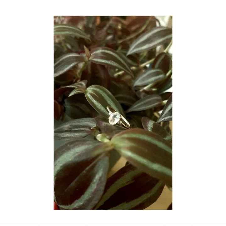 Brides of 2023 - Let's See Your Ring! - 1
