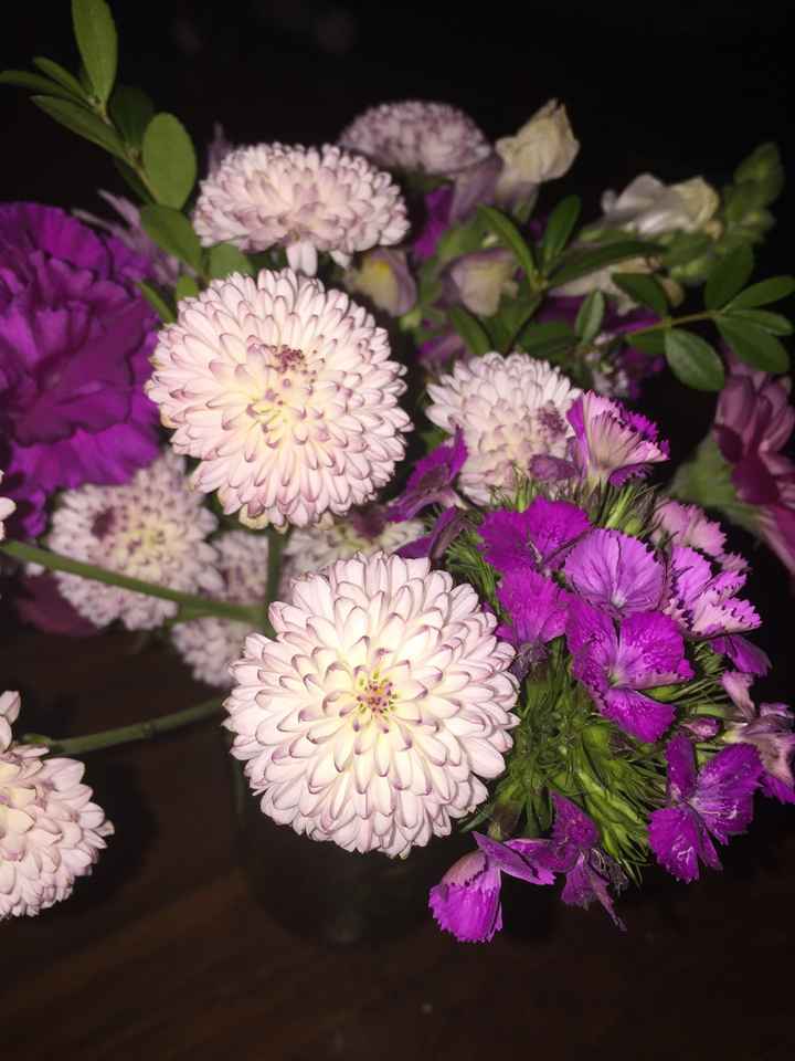 Flower help - 2