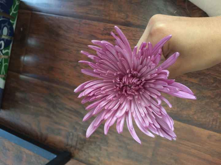 Flower help - 1