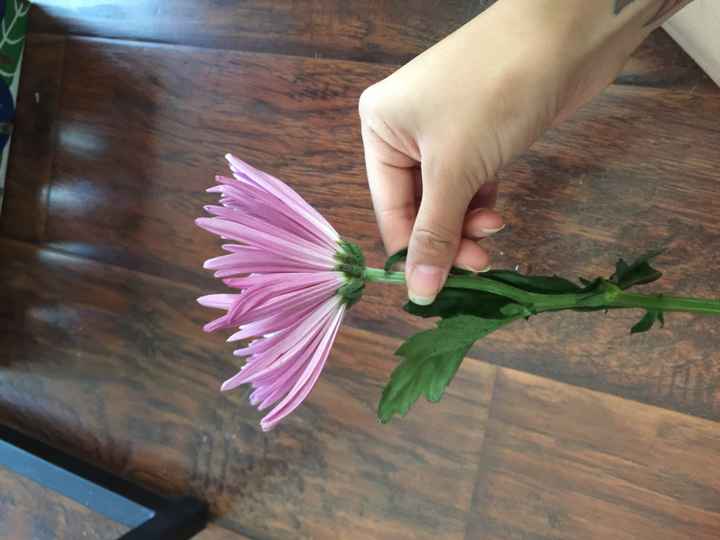 Flower help - 2