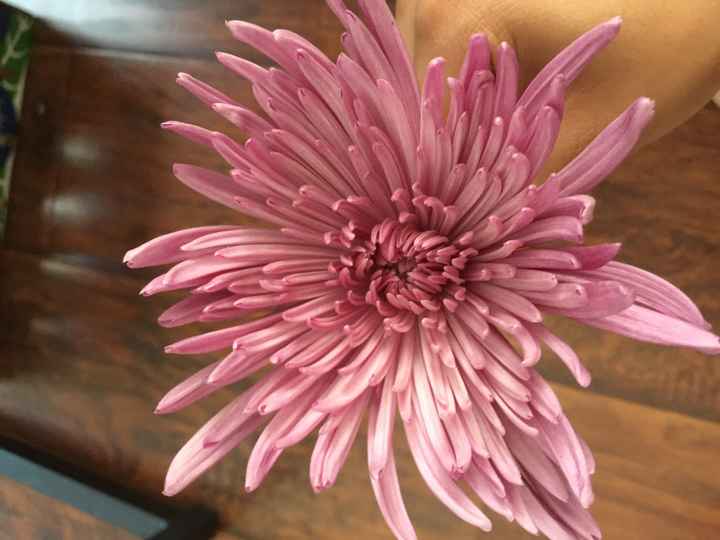Flower help - 3
