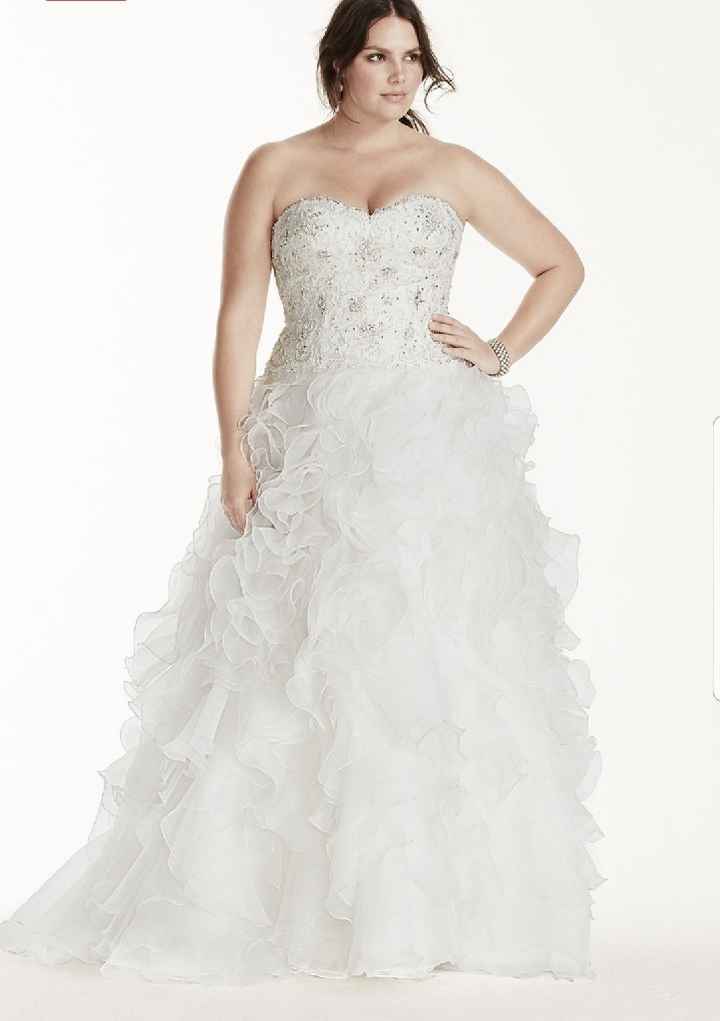 Cathedral veil or birdcage? - 1