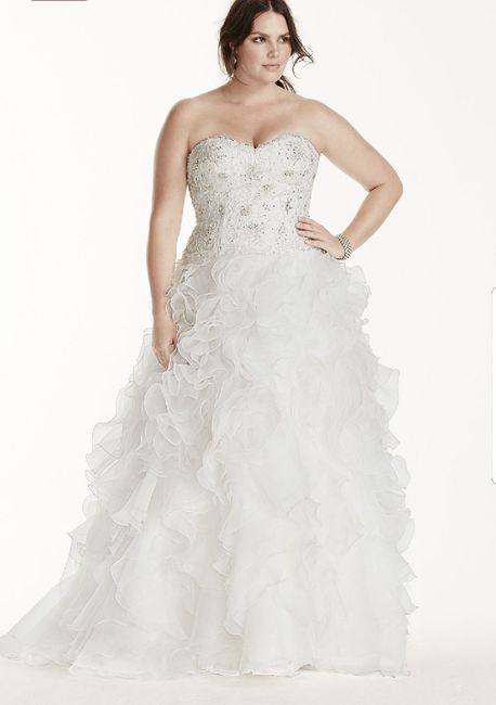 Cathedral veil or birdcage? 1