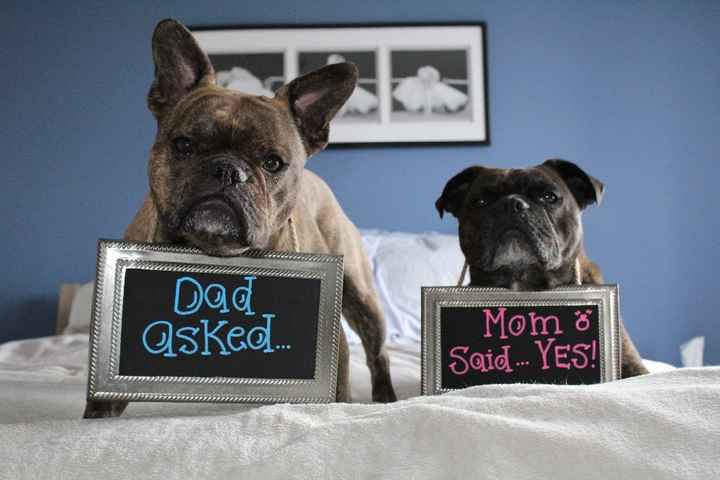 Daisy and Jax