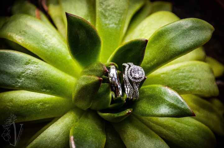 More info and pictures of our big day! - 7