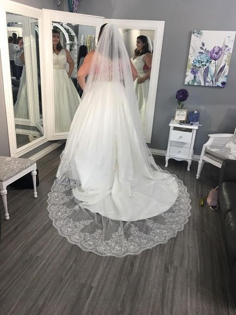 Desperately trying to decide on veil 1