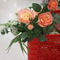 My favourite flowers of the bunch 