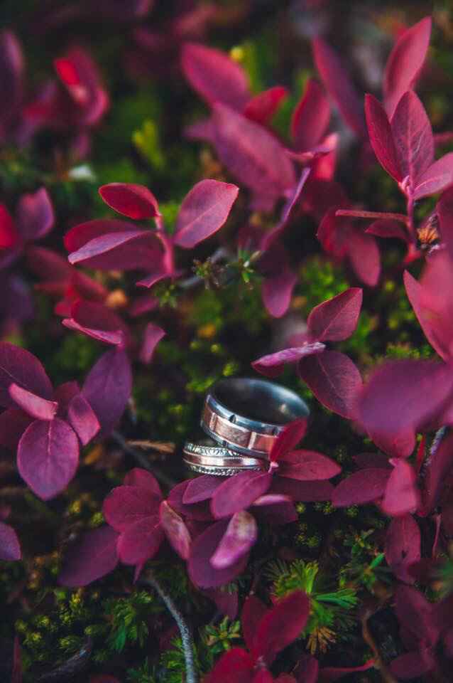 Let’s see those beautiful engagement/wedding rings! - 1