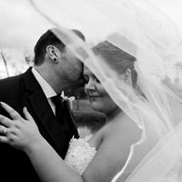 Pine and Birch Photography