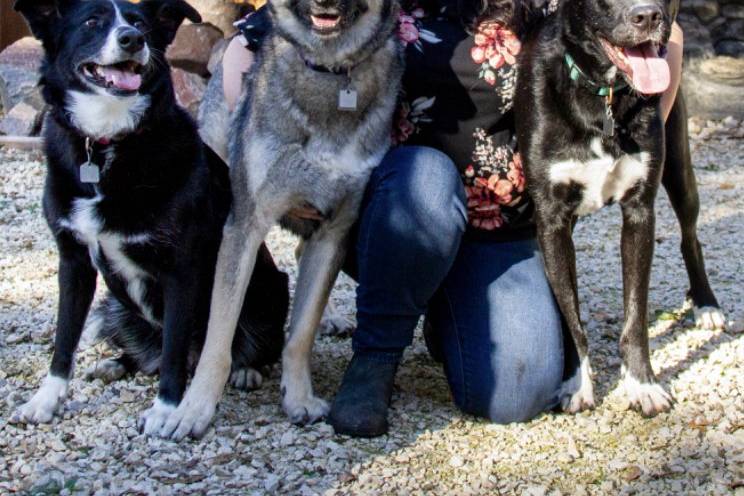 Chantalle and her dogs