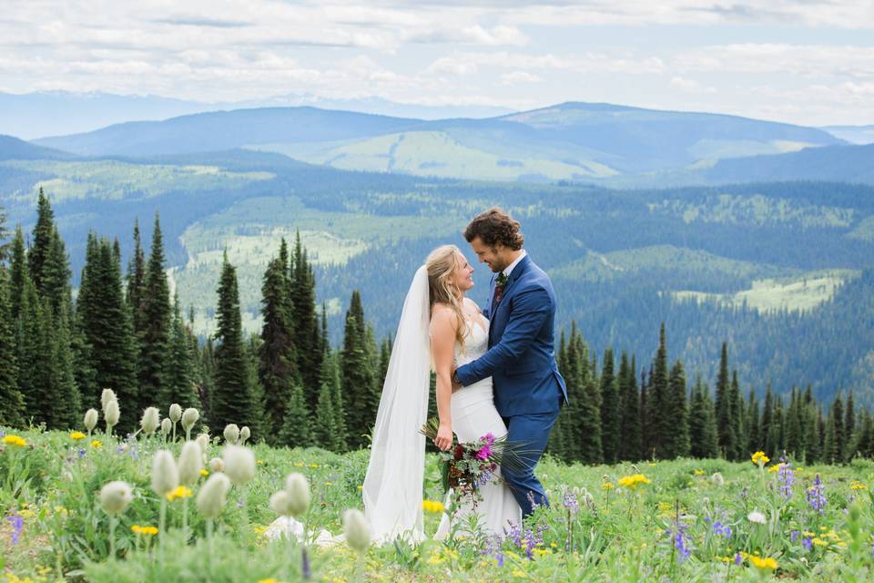 Field & Mountains