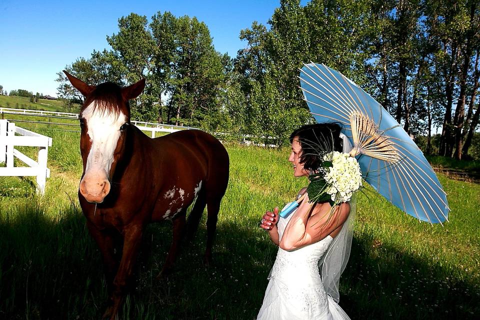 Farm wedding, west of Calgary