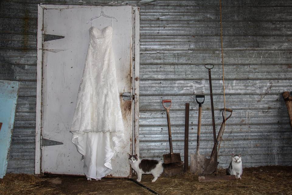 St Andrews, Manitoba farm wedding