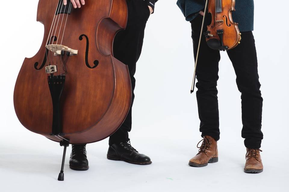 Duo fiddle & bass