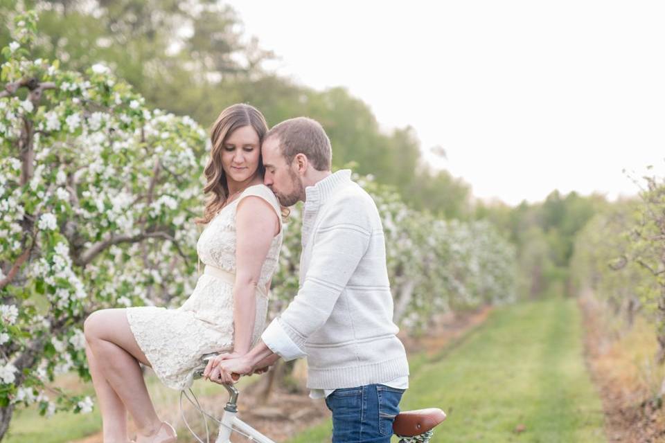 Pine Orchard farms engagement