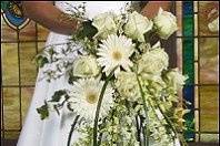 Winnipeg wedding florist