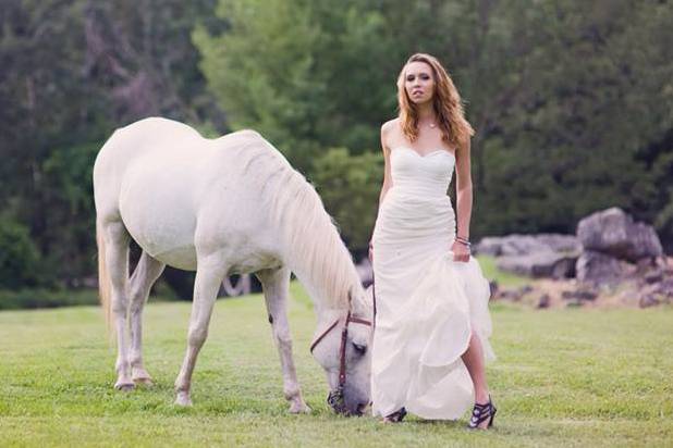 Horse and wedding