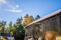 Ceremony - front of the barn