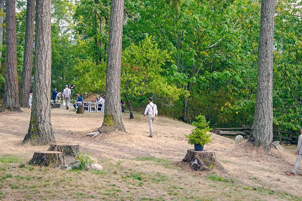 Outdoor ceremony