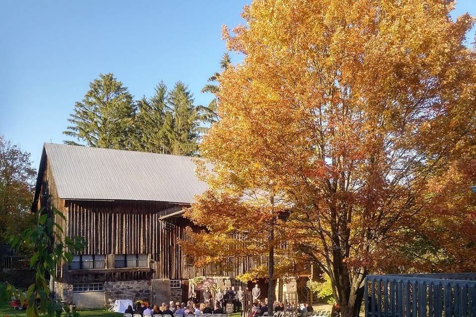 Fall wedding