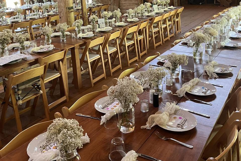 All ready for dinner