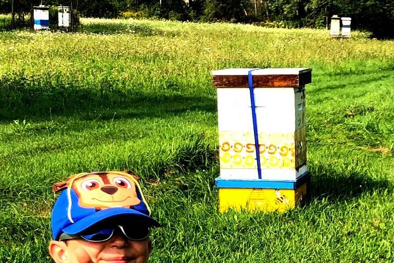 ... the youngest beekeeper