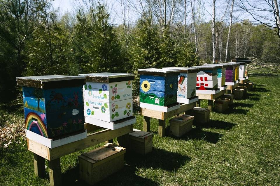 Each Family has painted a Hive