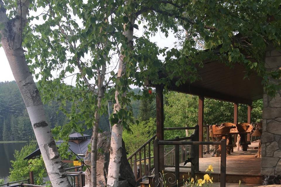 View from Lounge