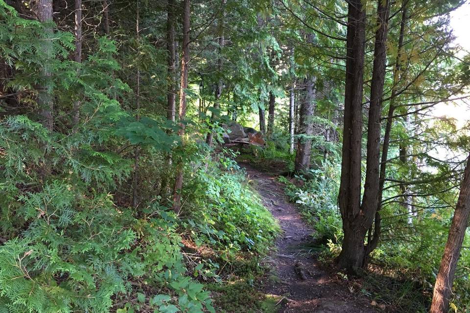Many Trails