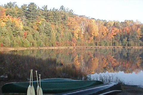 Fall Colors